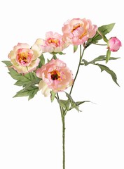 Pfingstrosenzweig mini, 3-fach verzweigt, mit 4 Blüten Ø 7 cm, (2 L/ 2 M) & 1 Knospe, 14 Blätter, 60 cm RECYCELT