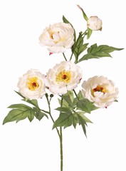 Pfingstrosenzweig mini, 3-fach verzweigt, mit 4 Blüten Ø 7 cm, (2 L/ 2 M) & 1 Knospe, 14 Blätter, 60 cm RECYCELT