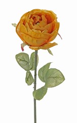 Rose Diana, Ø 8cm, avec 7 feuilles, 36cm
