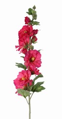 Alcea rosea, Rose trémière, Passe-rose, Passerose "Spring Dream", 9 fleurs, 7 boutons, 9 feuilles, 87 cm