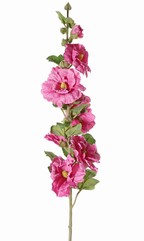 Alcea rosea, Rose trémière, Passe-rose, Passerose "Spring Dream", 9 fleurs, 7 boutons, 9 feuilles, 87 cm