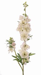 Delphinium (Ridderspoor) 'Beauty in bloom' 2x vertakt, 11 bloemen, 4 knoppen & 7 sets blad, 93 cm - RECYCLED