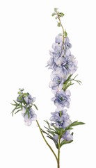 Delphinium (Ridderspoor) 'Beauty in bloom' 2x vertakt, 11 bloemen, 4 knoppen & 7 sets blad, 93 cm - RECYCLED