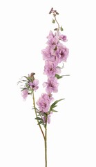 Delphinium (Ridderspoor) 'Beauty in bloom' 2x vertakt, 11 bloemen, 4 knoppen & 7 sets blad, 93 cm - RECYCLED