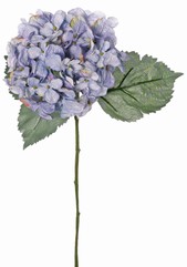 Hortensia (Hydrangea) 'Beauty in bloom' met 1 bloem (&Oslash; 14 cm) & 3 bladeren, 63 cm - RECYCLED