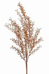 Artemisia knoppentak 'Warm Fall' 5x vertakt, met 39 plastic knopbundels, 80 cm
