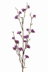 Callicarpa (Schönfrucht) mit 17 Blütenstände, Beeren aus Polyfoam, 81 cm