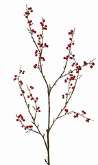 Bessentak XL, 4x verzweigt, mit 102 Beeren, 122 cm