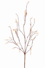 Wiesenknopf (Sanguisorba) mit 34 beflockten Blüten, ohne Blatt, 100 cm