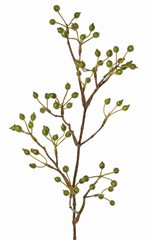 Hagebuttenzweig, mini, mit 63 Früchten, 62 cm