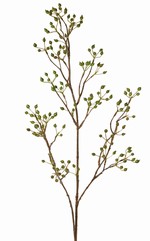 Hagebuttenzweig Mini, mit 155 Früchten, 100 cm