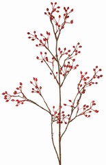 Hagebuttenzweig Mini, mit 155 Früchten, 100 cm