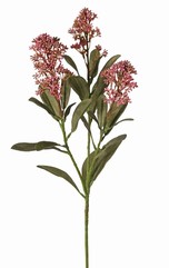 Skimmia-Zweig,  3x verzweigt, mit 3 Blütenständen, (2x XL/ 1x L) & 22 Blätter (L 6x / M 7x / S 9x), 66 cm