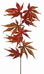 Acertak (Japanse) met 8 polyester bladeren, 5x L/ 3x M, 80 cm