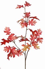 Eikentak (Quercus robur) 3x vertakt met 31 polyester bladeren, 83 cm, RECYCLED !