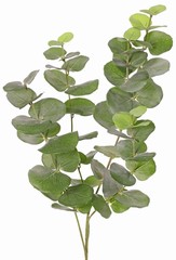 Rama de euclaytus (árbol de goma) 'Ming', 4x ramificada, con 68 hojas de poliéster, resistente a los rayos UV