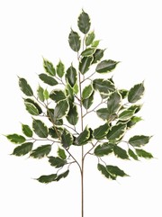Ficusspray "exotica" met 3 vertakkingen,  61 bladeren, 77cm - brandvertragend