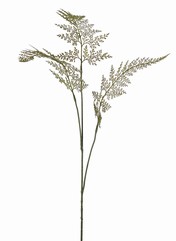Varentak 'Lace' 3x vertakt met 3 geflockte varenbladeren, 100 cm
