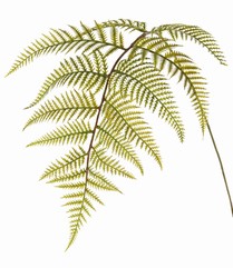 152200gr-4