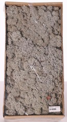 Isländisches Moos (Rentiermoos), Schachtel mit 500 gr.