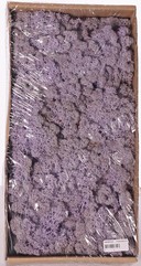 Isländisches Moos (Rentiermoos), Schachtel mit 500 gr.