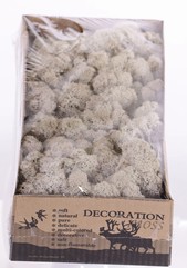 Musgo islandés (musgo de reno), caja de. 500 gr.