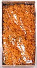 Isländisches Moos (Rentiermoos), Schachtel mit 500 gr.