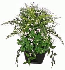 Bloemen- plantenmix met varen, in balkonbak (48 x 18 x 14 cm), 50 x 30 x 30 cm, UV bestendig