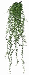 Callisia repens (Schildpadplant) hangend, met 93 cluster blaadjes, 70 cm, brandvertragend en UV bestendig