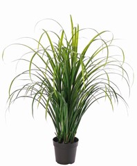 Grasplant 'Lemongrass' 6 bosjes met 102 plastic bladeren, in pot, 85 cm - UV bestendig