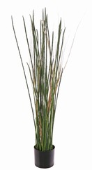 Holpijp (Equisetum) met 45 stengels, UV bestendig, 80 cm, in pot met kunstaarde