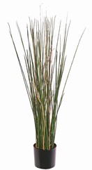 Holpijp (Equisetum) met 80 stengels, UV bestendig, 105 cm, in pot met kunstaarde