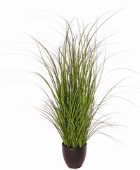 Grasplant 'Mae' (PVC) H 90 cm, in pot