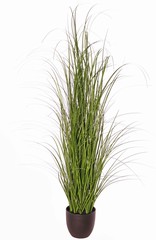 Grasplant 'Mae' (PVC) H 120 cm, in pot