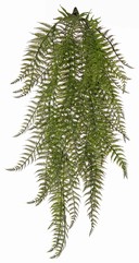 Helecho Woodwardia, 7 ramas, 55 frondas, resistente a los rayos UV, 70 cm