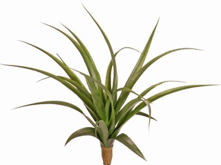 Yucca (Palmlilie) mit 22 Kunststoffblättern, Ø 40 cm, H 40 cm (inkl. Steckstab)