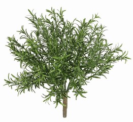 Lavendelplant (Lavandula) met 28 bloemen & 152 bladeren, 56 cm, BY MK!