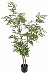 Golden leaf tree 'Twiggy' met 2250 bladeren, 4 echt houten stammen, 165 cm