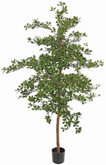 Shady lady (Oriental olive) 'de luxe', with 4246 polyester leaves, on a real wood trunk, 195 cm