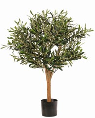 Olive tree (Olea), 1.248 leaves, 30 olives, real wood trunk,  Ø 50 cm, h. 85 cm