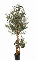 Olive tree (Olea) with 1.872 leaves, 42 olives, fiberglass trunk, wooden branches, 150 cm