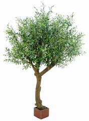 Olive tree, artificial, (Olea) 'Lavandou' with  8.908 leaves & 126 olives, 7 big branches, Ø 170 cm, height: 250 cm - special offer
