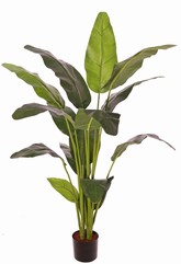 Travellerpalm (Ravenala) met 16 polyester palmbladeren, PU stelen, H 150 cm, brandvertragend, in pot