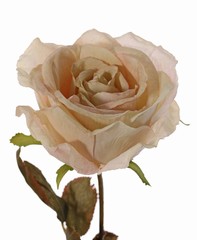Roos Calista, 1 bloem (Ø 11cm, H.7cm), 2 sets blad (10 blaadjes), 66cm