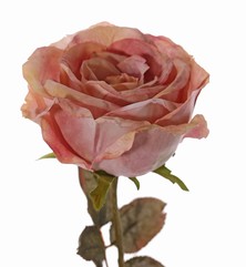 Roos Calista, 1 bloem (Ø 11cm, H.7cm), 2 sets blad (10 blaadjes), 66cm