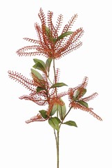 Pieris decobranch x3, with 3 plastic clusters & 18 leaves, 92cm