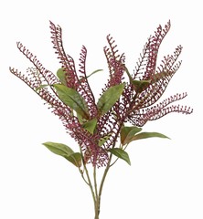 Plastic Pieris spray, 3 clusters & 15 leaves, 40cm