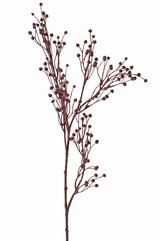 Flachs, Gemeiner Lein (Linum) 5x verzweigt 'Earthy Garden', 66 cm