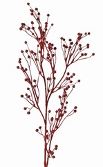 Flachs, Gemeiner Lein (Linum) 5x verzweigt 'Earthy Garden', 66 cm