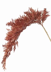 Sorghum 46 cm, (kunststof) met kunststof bruine steel, totaal 96 cm